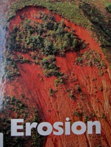 E is for Erosion:  This was another non-fiction book with text aimed at intermediate level English readers.  The topic was perfect for the region, which suffered from obvious erosion problems!