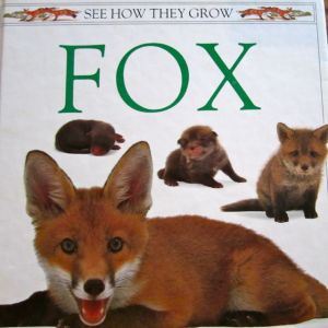 F is for Fox: Nonfiction again!