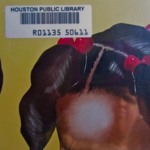 H is for Houston:  Many public libraries donate books to BFA.  In my opinion, some of the best children's books with quality illustrations and black American or African themed fiction came to us from the Houston Public Library.      Thank you to the library staff or volunteers who gathered up these books and donated them to BFA!