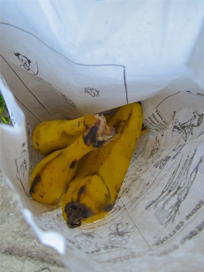 Purchase price: 6 birr for 1/2 kilo of bananas (mooz in Amharic)