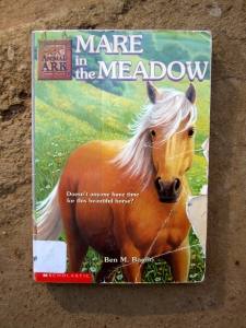 M is for Mare in the Meadow:  Many "Chapter Books" for grade 1-4 readers focus on fiction and horses.  The typeface was large and I think the topic may appeal to Ethiopian kids.  I'm not sure if anyone will find the chapter books useful, but possibly teachers or students may pick up a book and enjoy the stories.  If only there was some way to track the reading of these books, we could determine which ones are most useful in the Ethiopian context.  Well...that's another project for another day!